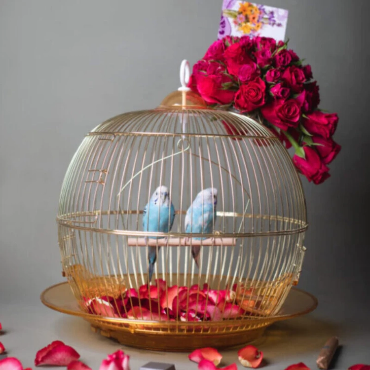 Love Birds in Cage Gift